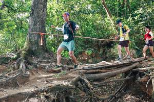 BIB: 
                            <button type="button" onclick="openModal(27556258)" class="btn btn-primary btn-sm float-right btn-popup" data-toggle="modal" data-target=".modal-high-quality">
                        <i class="fas fa-shopping-cart"></i> Add to Cart
                    </button>
                                            <button type="button" onclick="isThisMe(27556258, true)" class="btn btn-success btn-sm float-right btn-popup btn-isme hidden" data-toggle="tooltip" data-placement="bottom" title="นี่คือรูปของคุณใช่ไหม คลิกที่นี่เพื่อเอาเข้าอัลบั้ม">
                        <i class="fas fa-plus"></i> Add to album
                    </button>
                    <button type="button" onclick="isThisMe(27556258, false)" class="btn btn-warning btn-sm float-right btn-popup btn-isnotme hidden">
                        <i class="fas fa-ban"></i> Remove from album
                    </button>